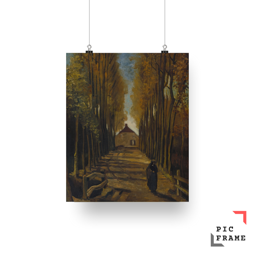 Avenue of Poplars in Autumn