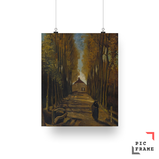 Avenue of Poplars in Autumn