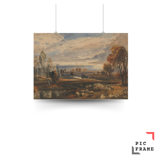 Landscape with Sheep