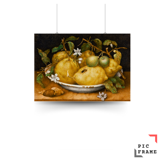 Still Life with Bowl of Citrons Giovanna Garzoni (1600-1670)
