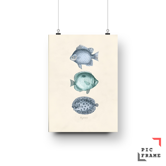 Blue fish