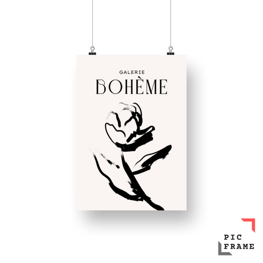 Boheme Rose