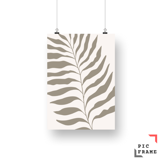 Boho Palm