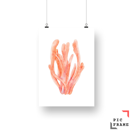 Coral in peach