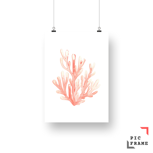 Coral in peach shade