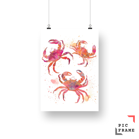 Crabs in Color