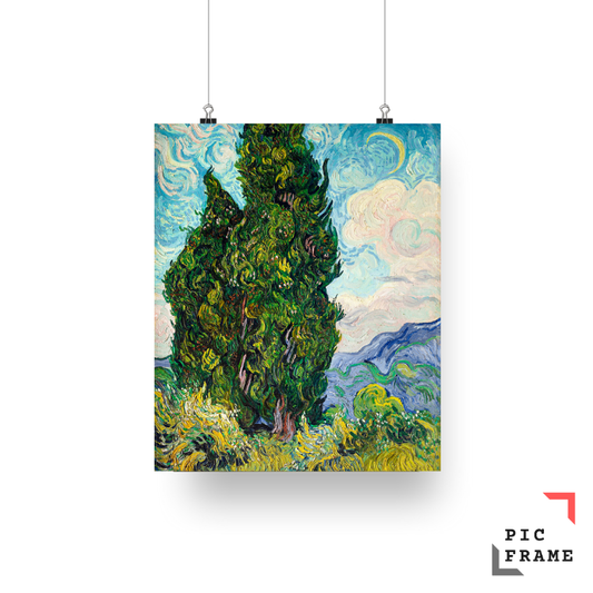 Cypresses