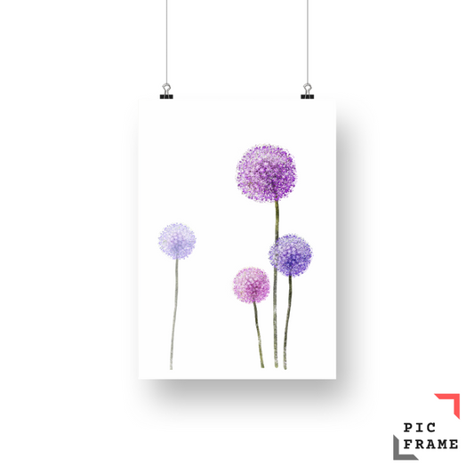 Dandelion 3
