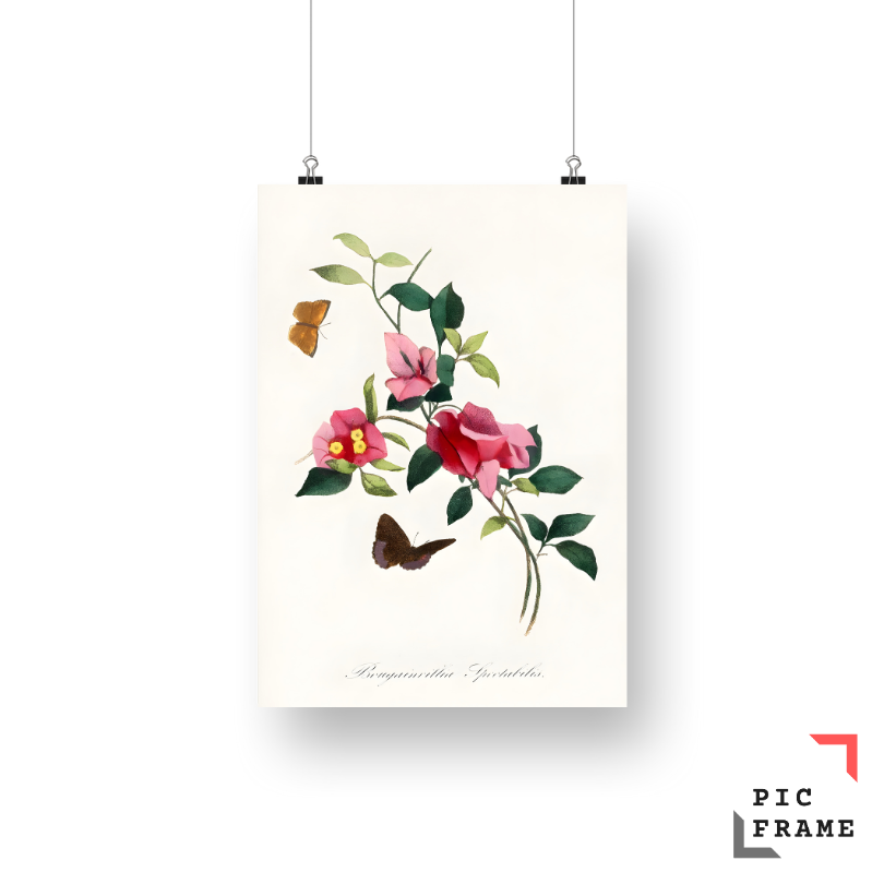 Flower Bloom (3)