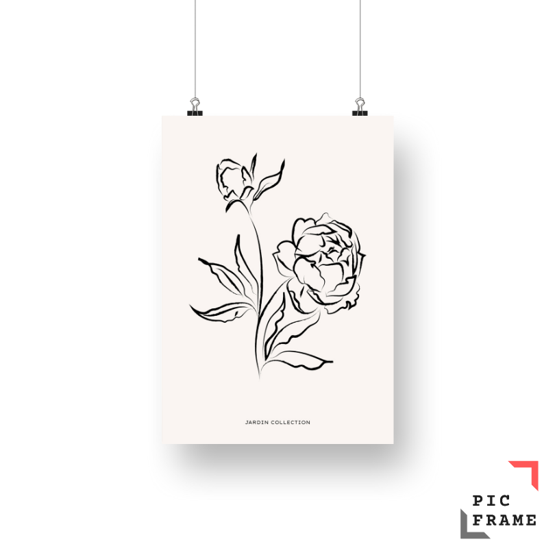 Jardin Rose