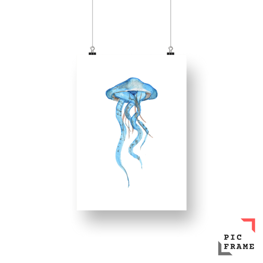 Jellyfish 1