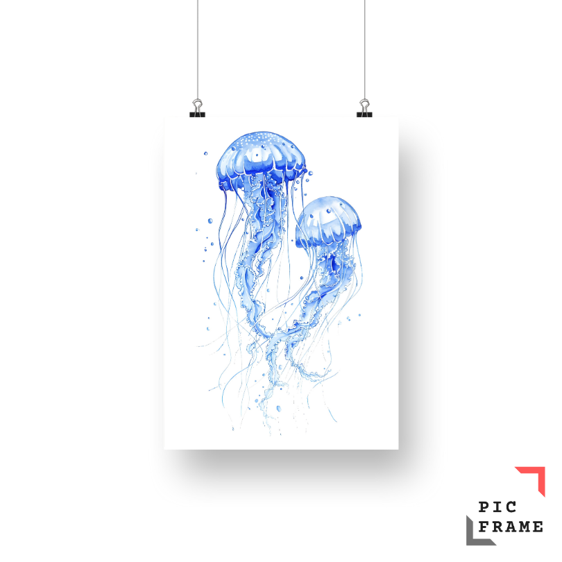 Jellyfish Elegance