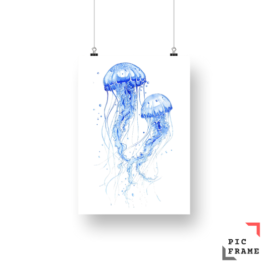 Jellyfish Elegance