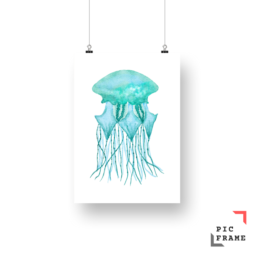 Jellyfish Turquoise