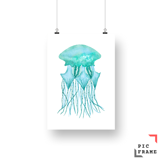 Jellyfish Turquoise