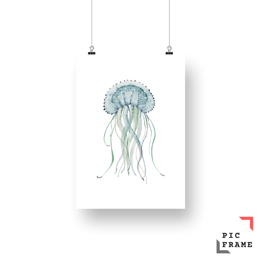 Jellyfish in blue