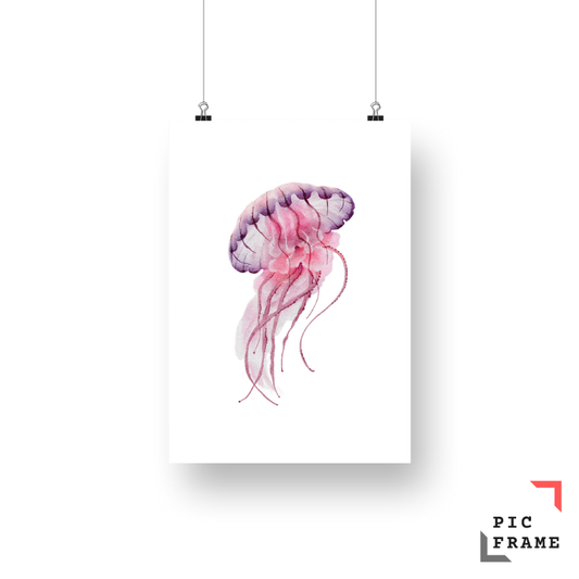 Jellyfish in color
