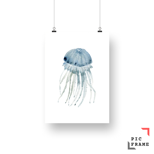 Jellyfish in watercolor