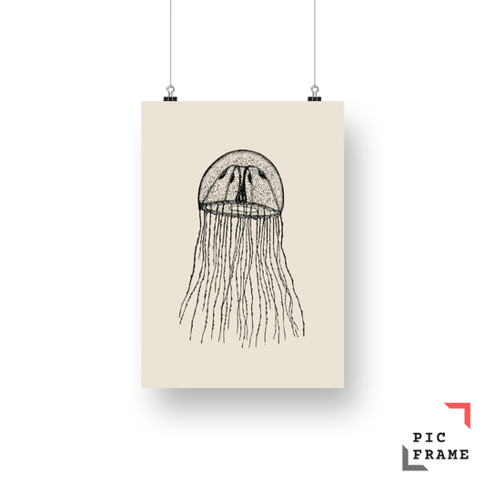 Jellyfish stamp
