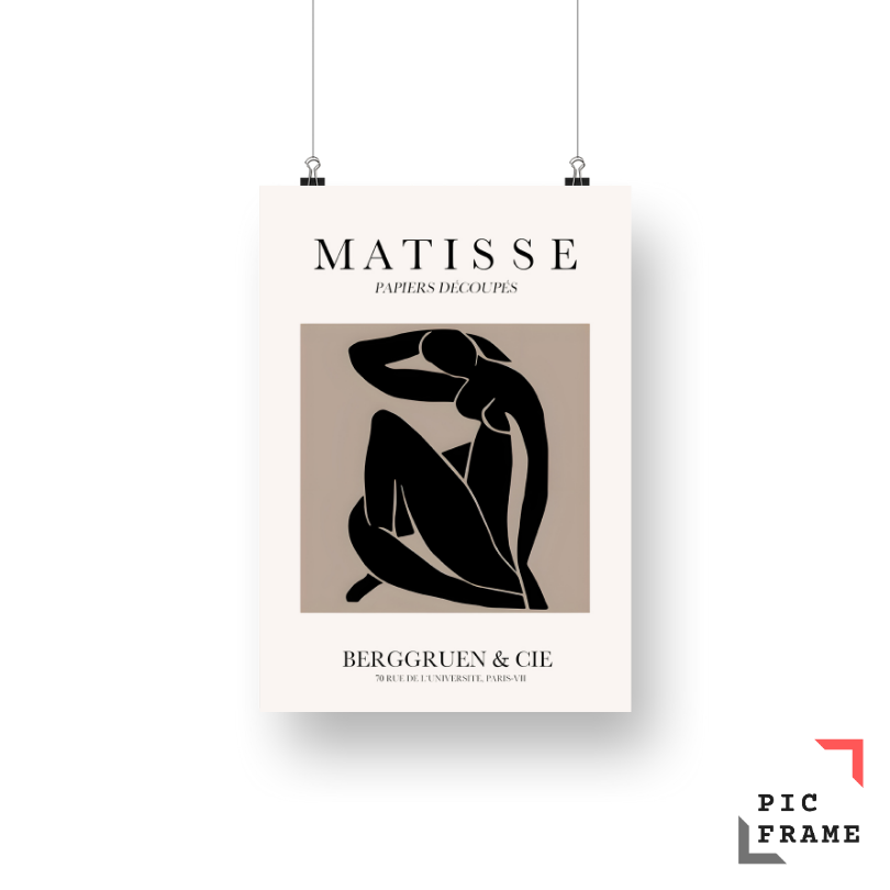 Matisse Papiers Decoupes