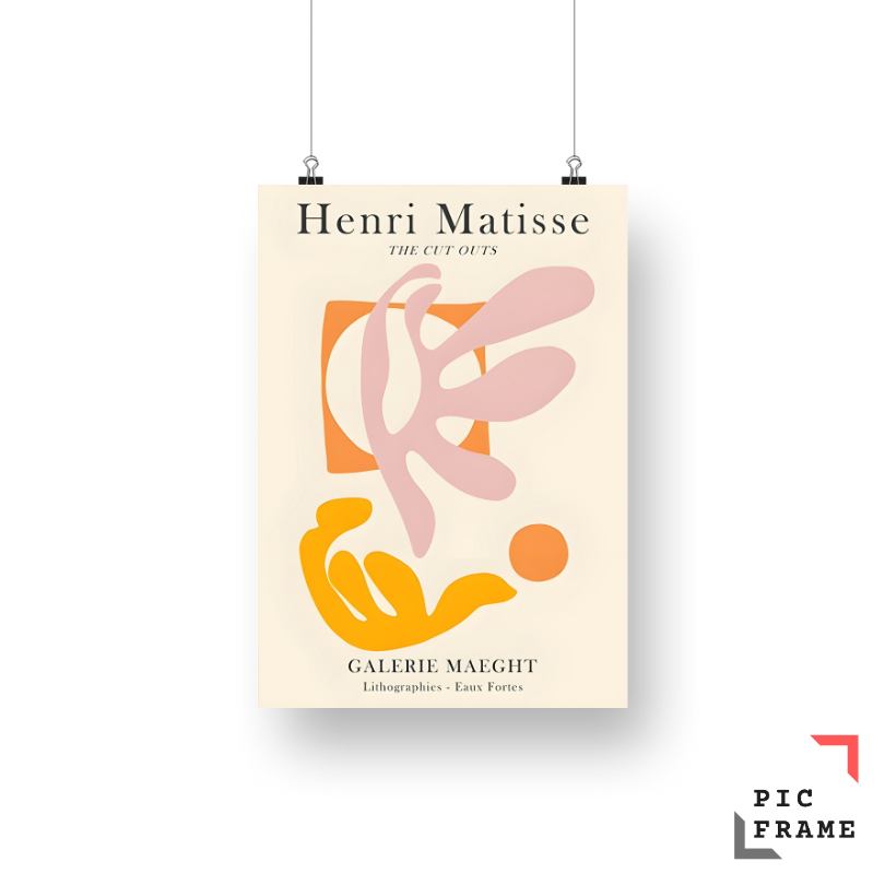 Matisse's Vibrant World