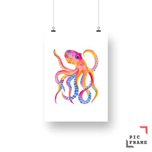 Octopus in color