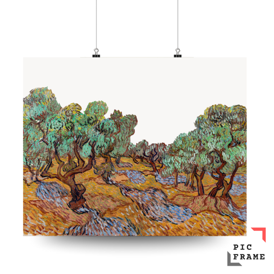 Olive Trees