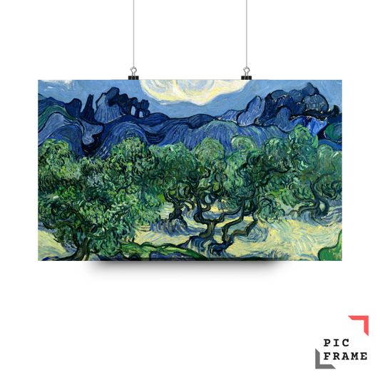 Olive Trees (2)