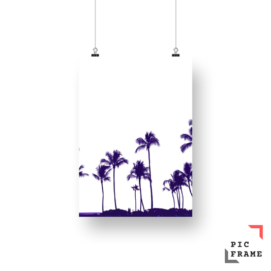 Palm Oasis