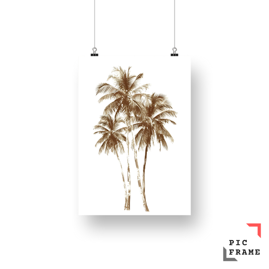 Palm Retreat