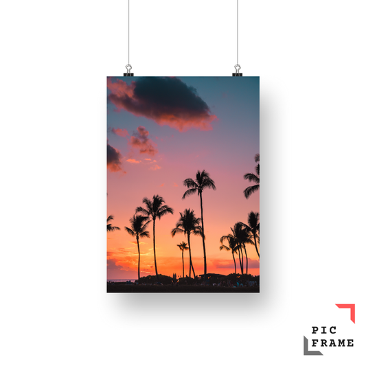 Palm Sunset Symphony