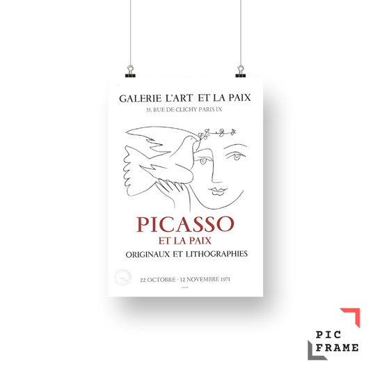 Picasso Et La Paix