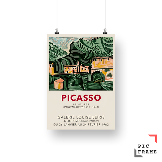 Picasso (13)