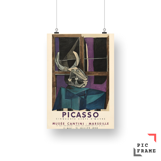 Picasso (14)
