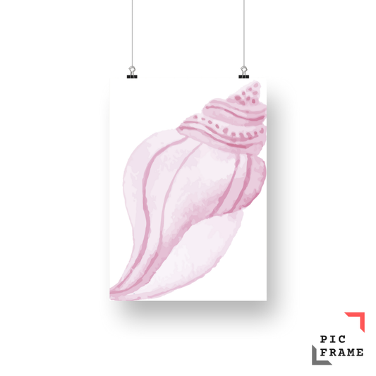 Pink shell in water color
