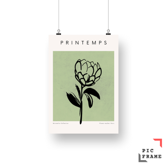 Printemps Protea