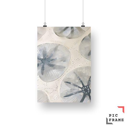 Sand Dollar Serenade