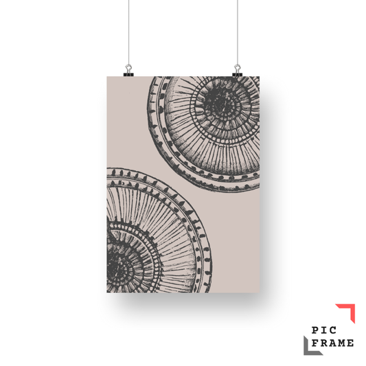 Sand Dollar in Black (2)