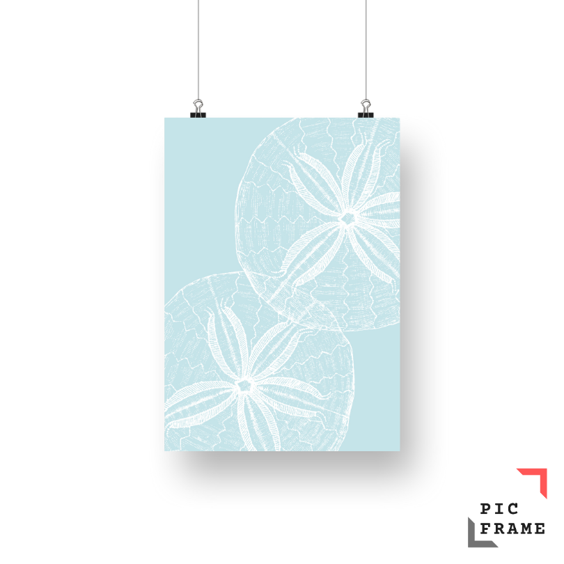 Sand Dollar in Light Blue
