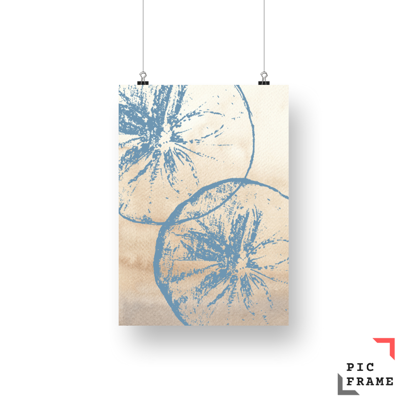 Sand Dollar in blue ink