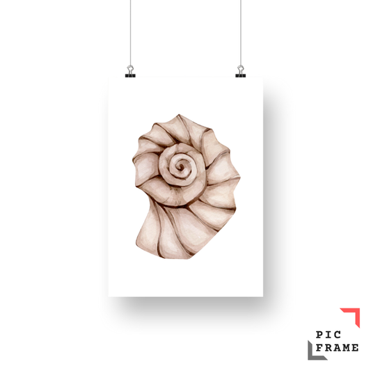 Sea Shell 2