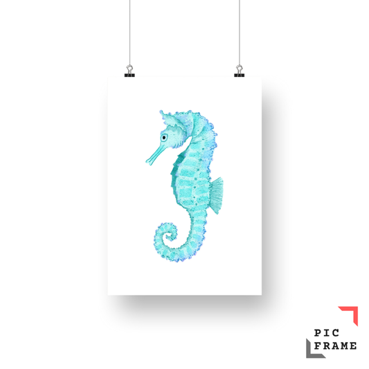 Seahorse Turquoise