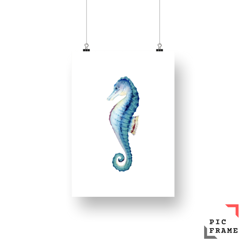 Seahorse watercolor