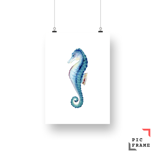 Seahorse watercolor