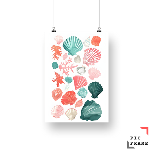 Seashell Treasures