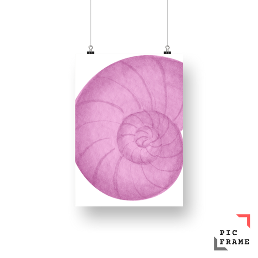 Seashell in Pink