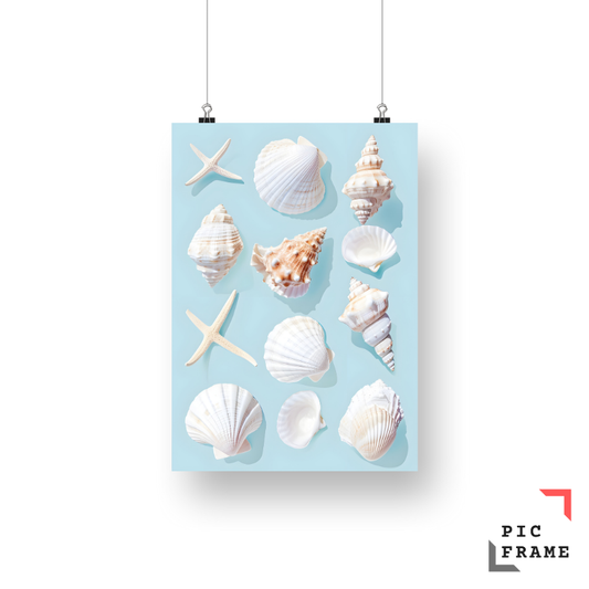 Seashells Blue
