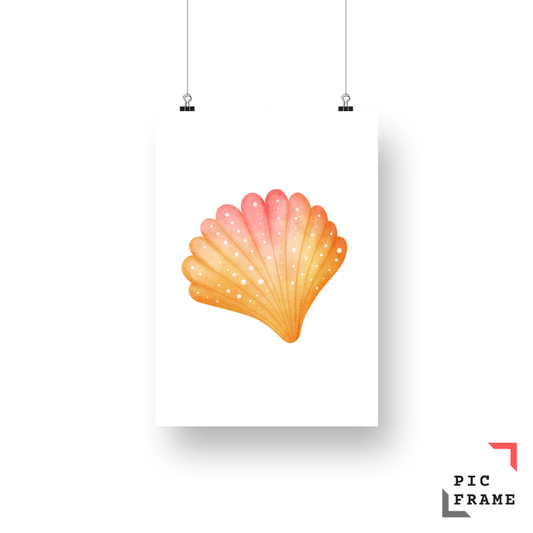 Shell Harmony