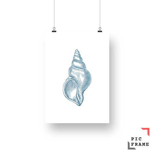Shell in Blue
