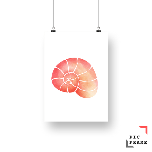 Shell in Peach